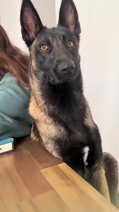 Когда пытаешься быть злым, но в душе ты все-таки булочка