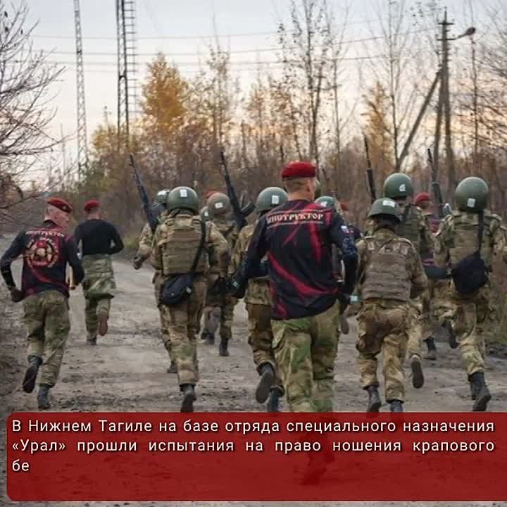 #ГлавноеЗаНеделю. Ордена Жукова вручены Северо-Западному и Уральскому округам Росгвардии Росгвардия обеспечивает защиту Курской атомной электростанции В Сочи при силовой поддержке Росгвардии задержан вербовщик украинской...