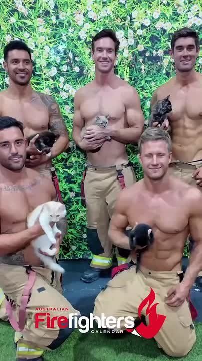 Кому календари с котиками брутальными пожарными?