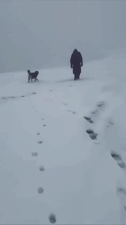 Ждете снега? А в горах в Сочи уже белым-бело, на высоте 2320 метров толщина снега достигла 52 см