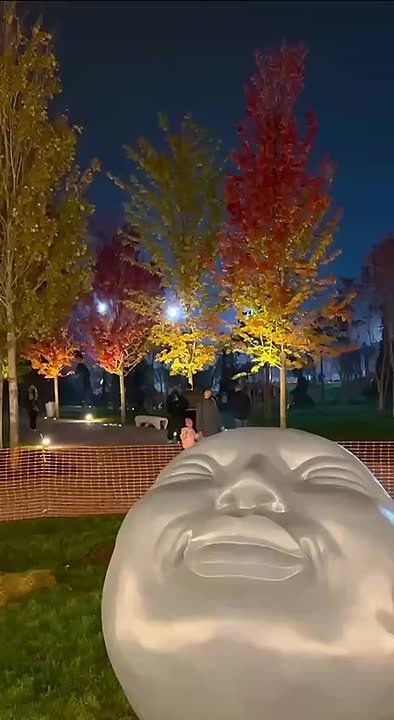 В парке Галицкого поселились новые необычные фигуры