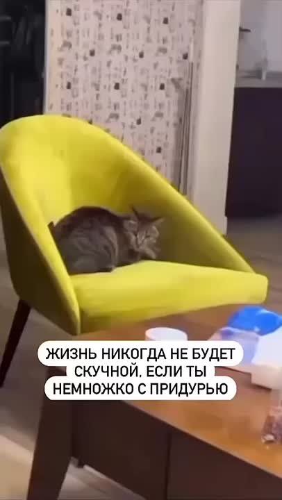 С бодрым воскресным утром