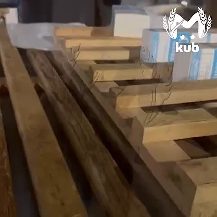 Хвостатые сотрудники сочинской пекарни на Воровского кошмарят посетителей