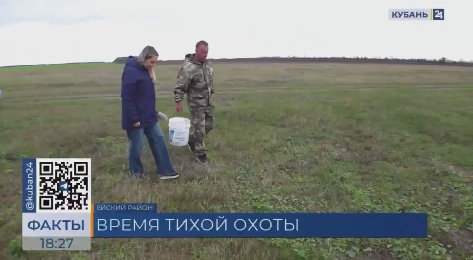 Рыбаки и охотники резко стали грибниками