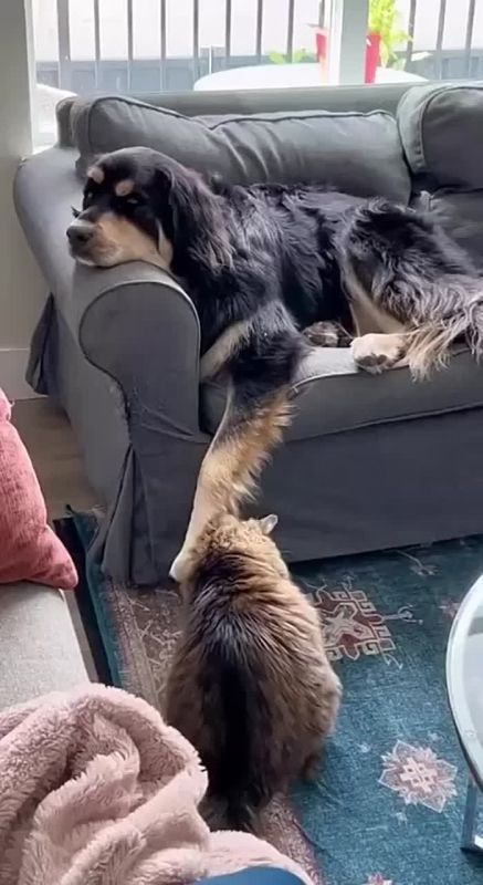 Доброе понедельничное утро, пора собираться с силами для новой рабочей недели