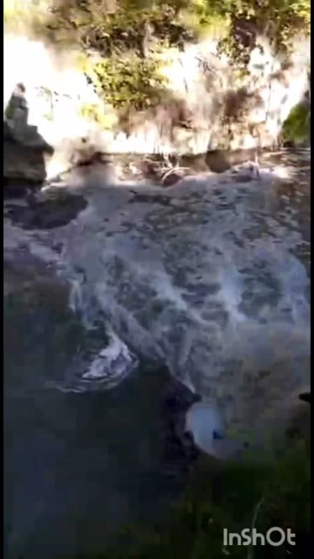 Жители Новороссийска пожаловались на загрязнение реки Озерейки, которая впадает в море