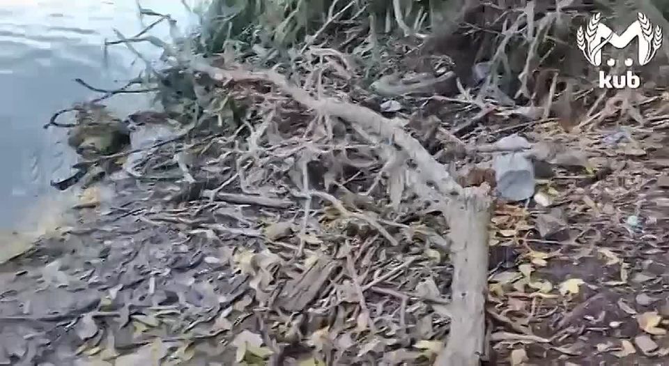 Берег озера Карасун закрыт забором