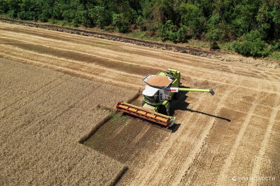Катырин рассказал, как ИИ помогает агросектору повышать урожайность