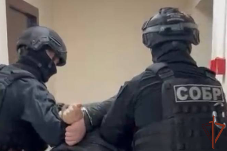 Подозреваемый в многомиллионном хищении задержан в Краснодаре при содействии спецназа Росгвардии