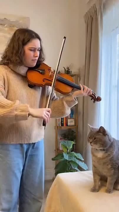 Такая же реакция у админа на будильник