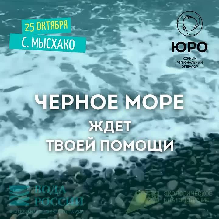Новороссийск отметит день Черного моря экологическим субботником
