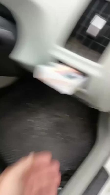 В Приморье котёнок проехал восемь километров под капотом автомобиля и чудом выжил