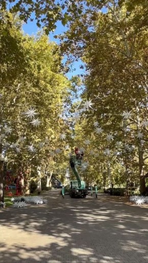 Улица Красная вновь засияет к Новому году в Краснодаре