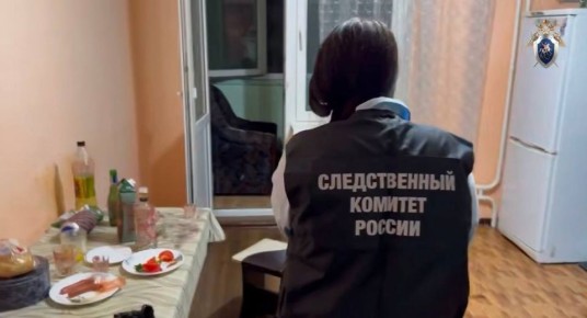 В Краснодаре перед судом предстанет местный житель, обвиняемый в убийстве знакомой