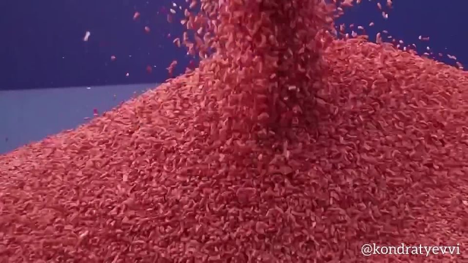 Вениамин Кондратьев: В крае в самом разгаре осенние полевые работы