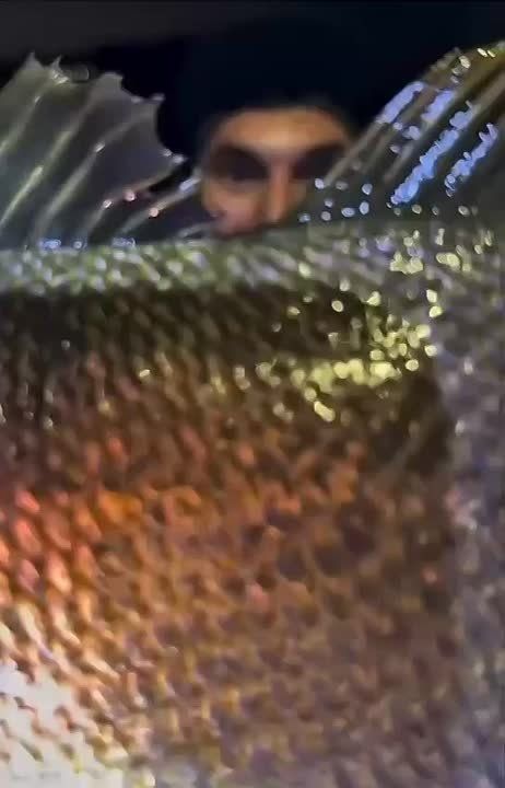 Сезон рыбалки в Сочи продолжается!