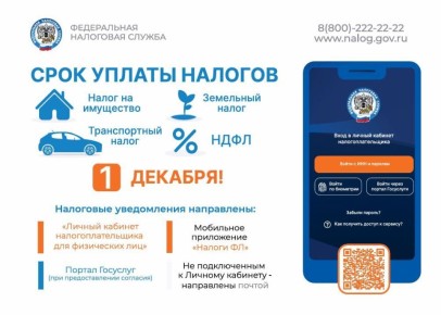 1 декабря - срок уплаты налогов