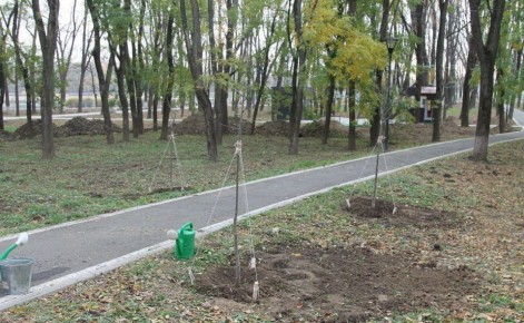 АРМАВИРЦАМ РАССКАЗАЛИ, КАК ПРАВИЛЬНО ПРОВОДИТЬ ПОСАДОЧНЫЕ РАБОТЫ