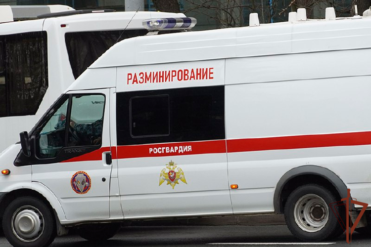 Взрывотехники Росгвардии уничтожили обнаруженные под Анапой мины