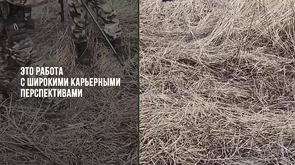 Служба по контракту — возможность доказать себе и другим, на что ты способен