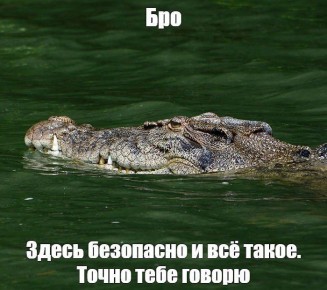 В Австралии реку с крокодилами одобрили для проведения Олимпийских игр