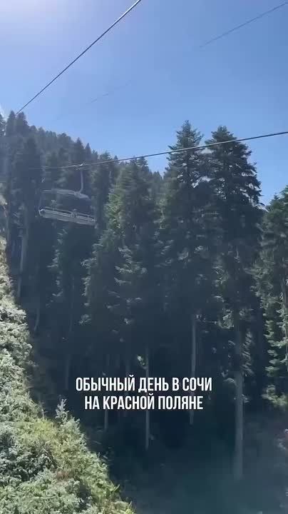 Ничего необычного - просто сочинский собакен живёт на полную!