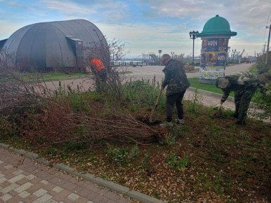 Посадка кустов на Приморской набережной в районе сцены «Ракушка» и уборка травы на клумбах