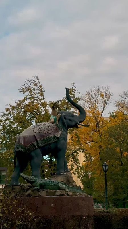 Солнечная и тёплая погода на улицах Краснодара