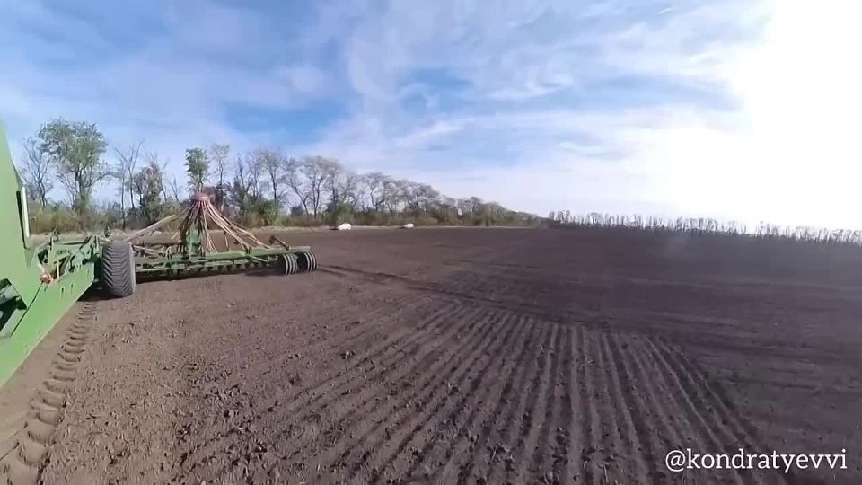 На Кубани в самом разгаре осенние полевые работы