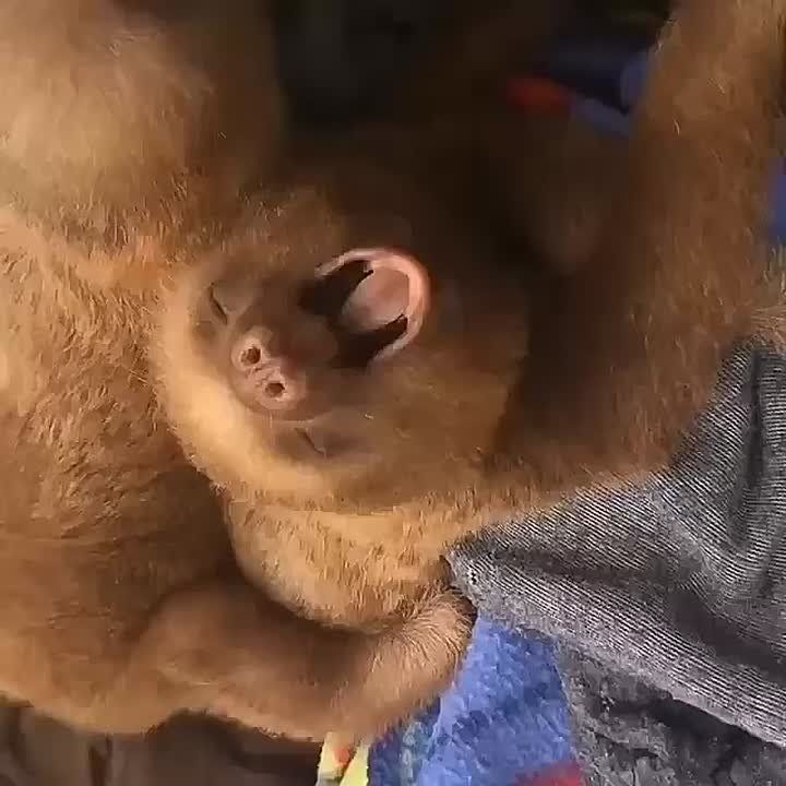 Доброе утро!