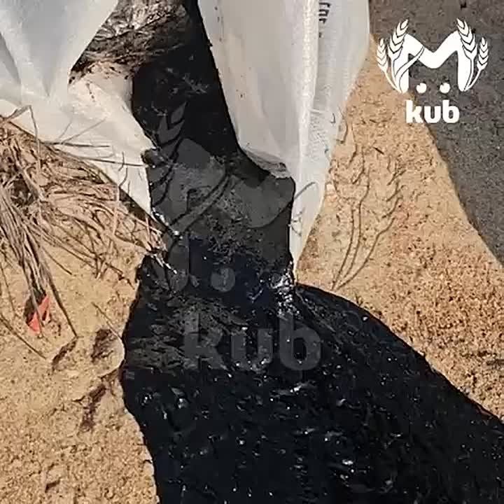 Выбросы мазута обнаружили на нескольких участках береговой линии в Анапе и Темрюкском районе