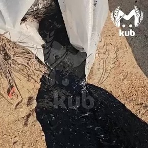 Выбросы мазута обнаружили на нескольких участках береговой линии в Анапе и Темрюкском районе