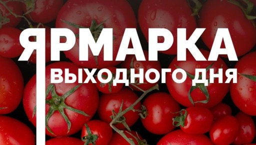 25 октября в Краснодаре откроются восемь ярмарок выходного дня