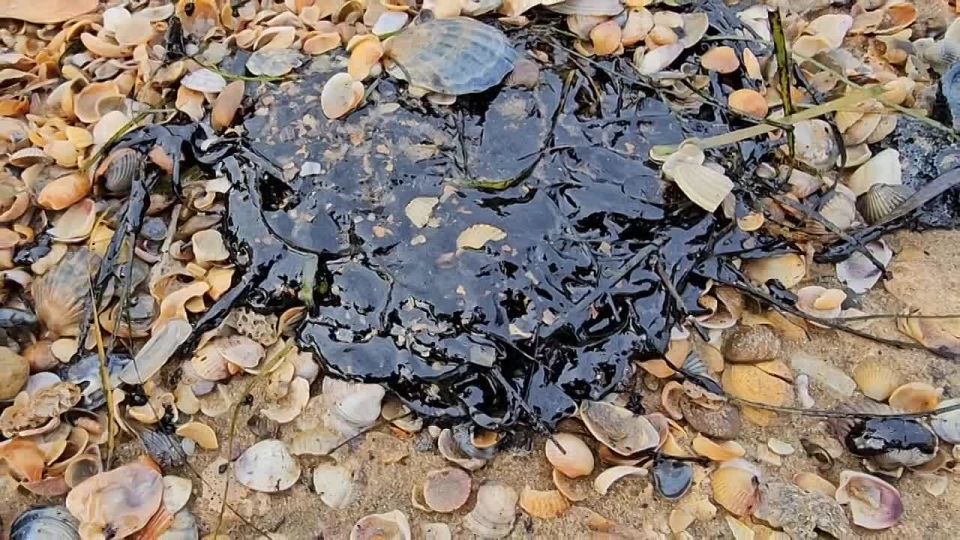 Что в Анапе с мазутом?. Песок вдоль кромки воды усеян множеством мелких пятен нефтепродуктов - местами жидких, местами застывших