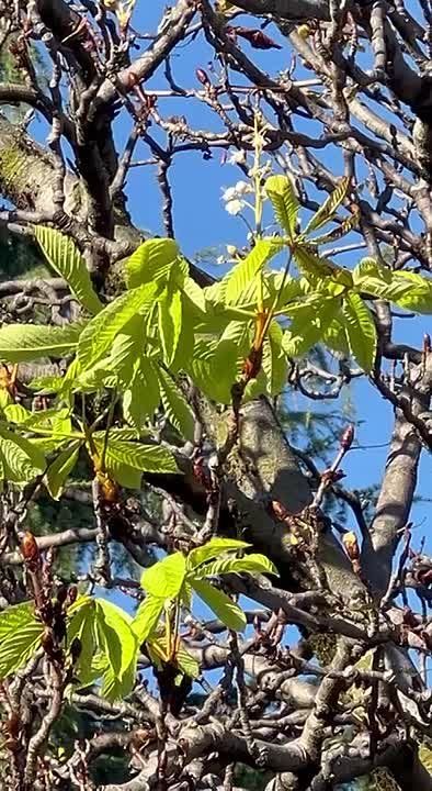 Осеннее чудо на набережной Сочи!