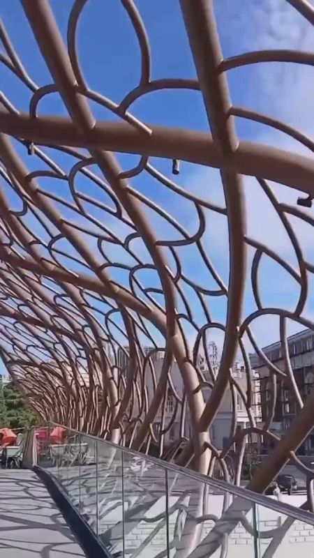 Не прошло и полгода, а мост «Волшебный лист» в Сочи уже требует ремонта!