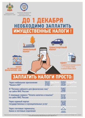 1 декабря — срок уплаты налогов