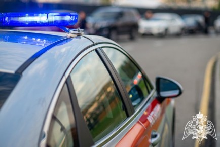 В Тбилисском районе росгвардейцы задержали мужчину с автомагнитолой из чужого автомобиля марки «ВАЗ-2107»