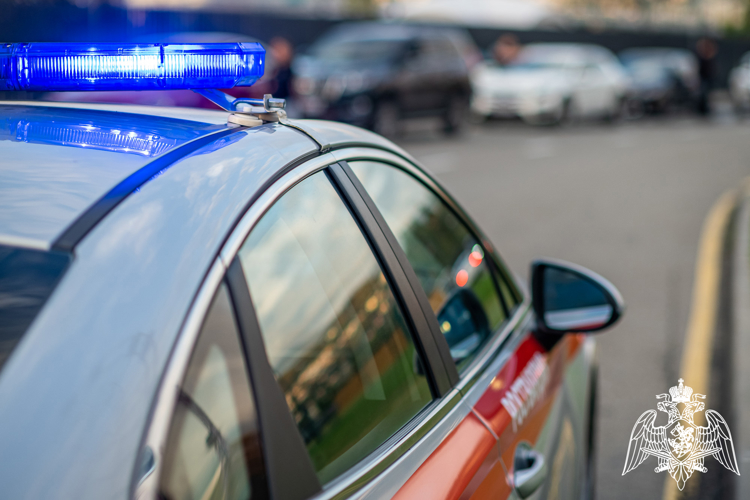 В Тбилисском районе росгвардейцы задержали мужчину с автомагнитолой из чужого автомобиля марки «ВАЗ-2107»