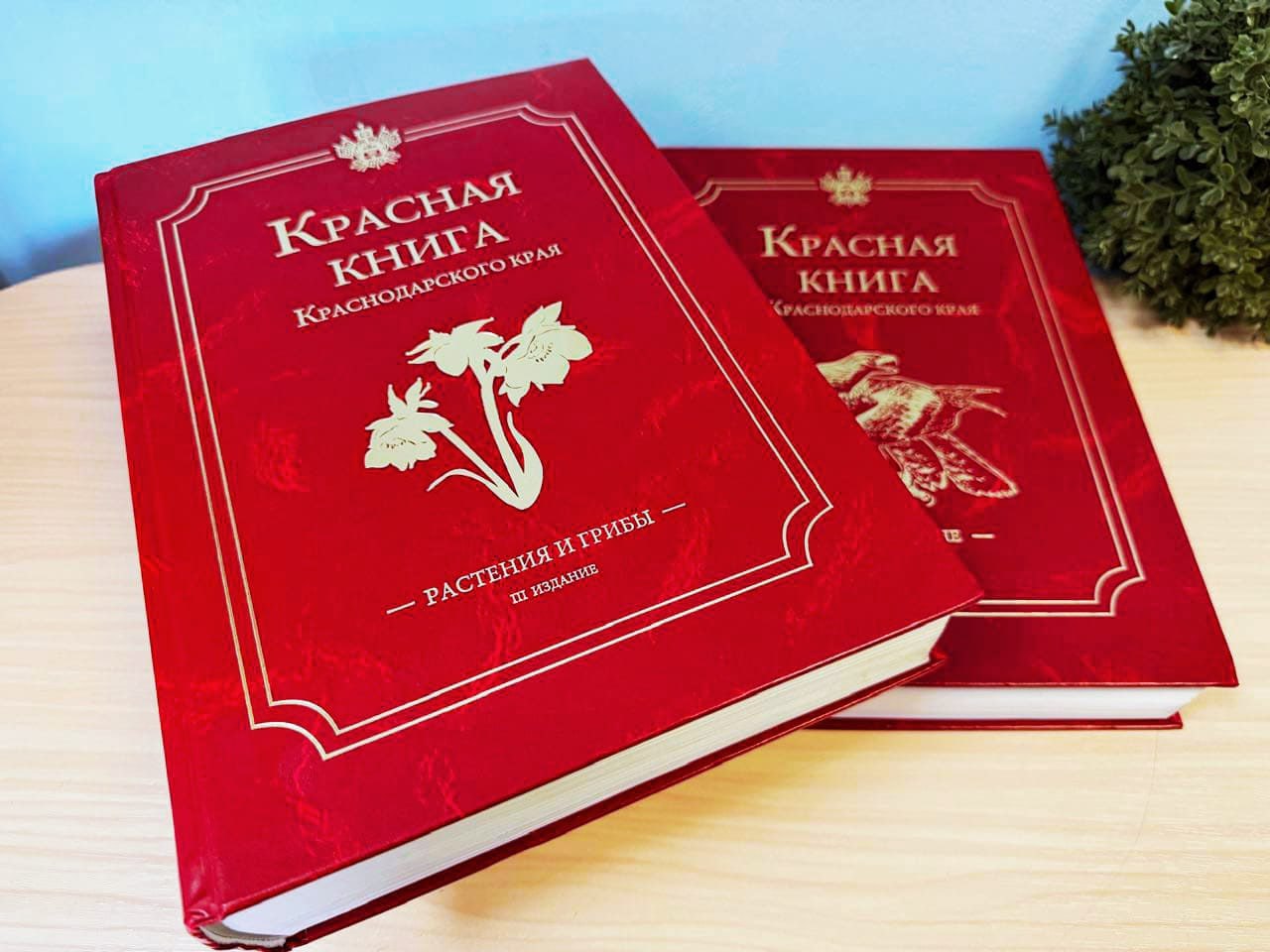 Жителей и гостей Новороссийска призывают принимать активное участие в сохранении редких и находящихся под угрозой исчезновения видов растений и животных