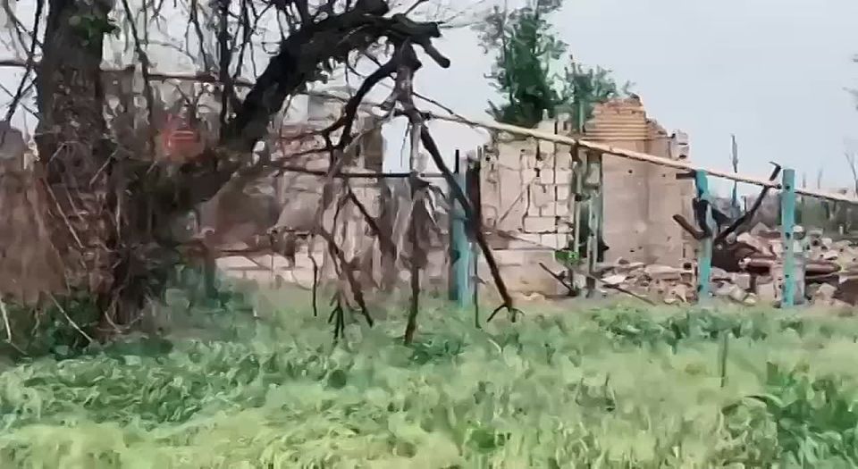 Отряд «Барс-16» имени Святого благоверного князя Александра Невского