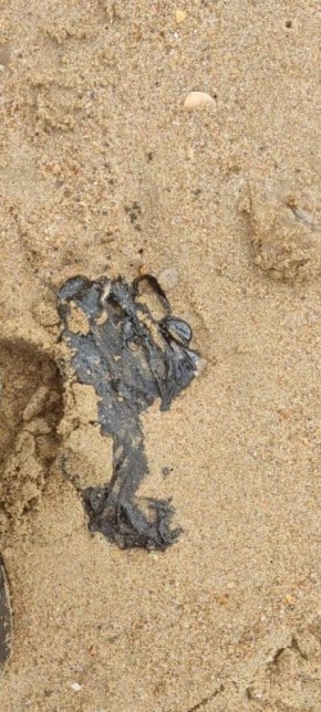 Оперативные службы ликвидируют свежие следы разлива нефтепродуктов на двух участках побережья Анапы