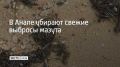 Утром 25 октября свежие мелкие фрагменты мазута и загрязненные нефтепродуктами водоросли обнаруживали на Бугазской Косе и на Косе между селом Витязево и станицей Благовещенской