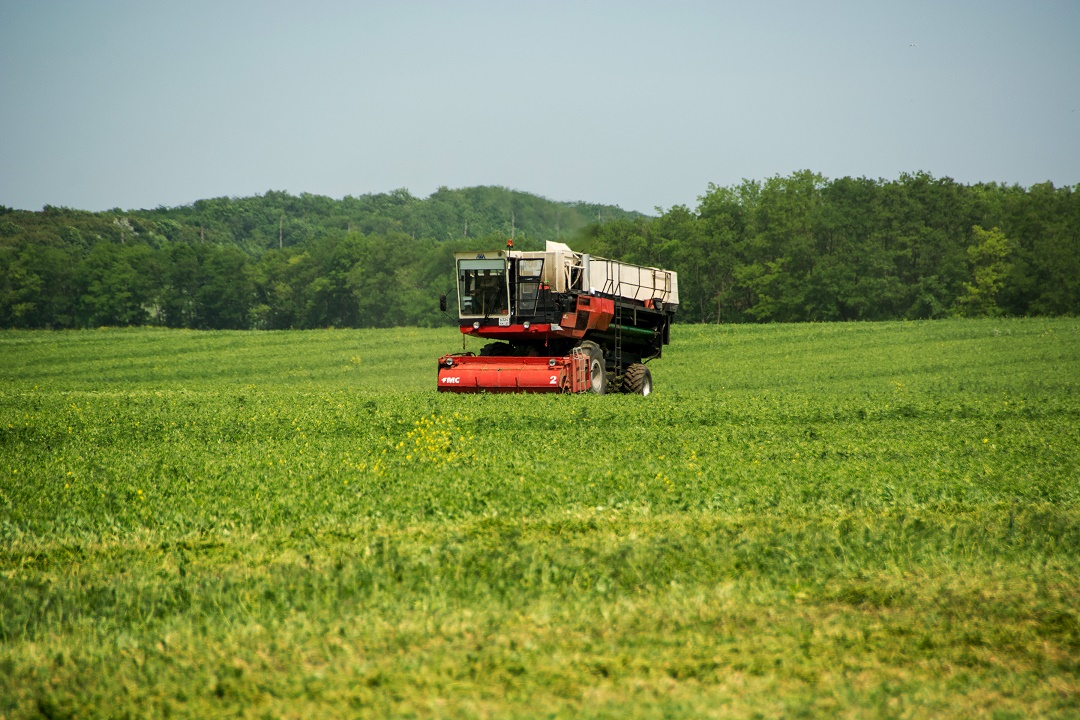 Рекордные выплаты за погубленный урожай получили фермеры Кубани