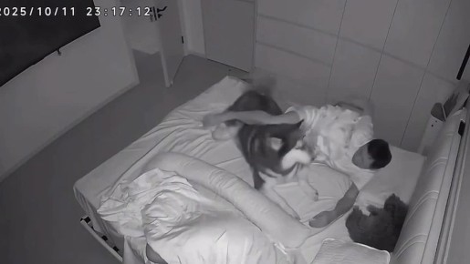 Доброй ночи! И чтобы никто с кровати не прогонял