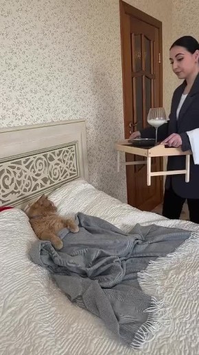 Вот так надо проводить воскресенье
