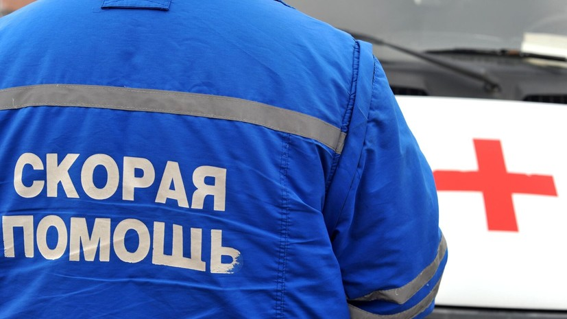 В Краснодаре мальчика госпитализировали после нападения стаи собак