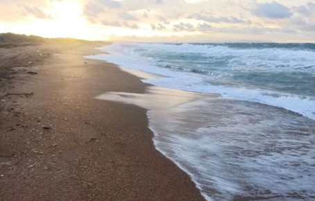 На побережье Анапы и Темрюкского района 27 октября не обнаружили новых выбросов нефтепродуктов