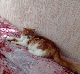 Доброе утро, Кубань!. Краснодар +20 °С