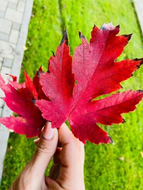 О погоде на 28 октября. В Краснодарском крае облачно с прояснениями